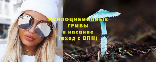 кокс Алексеевка