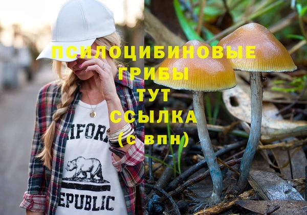 сатива Абдулино