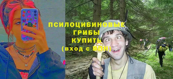 PSILOCYBIN Абинск