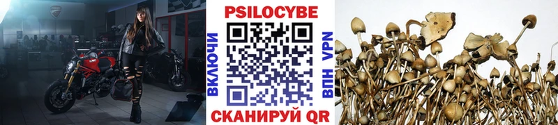 Псилоцибиновые грибы Cubensis  наркотики  Кандалакша 